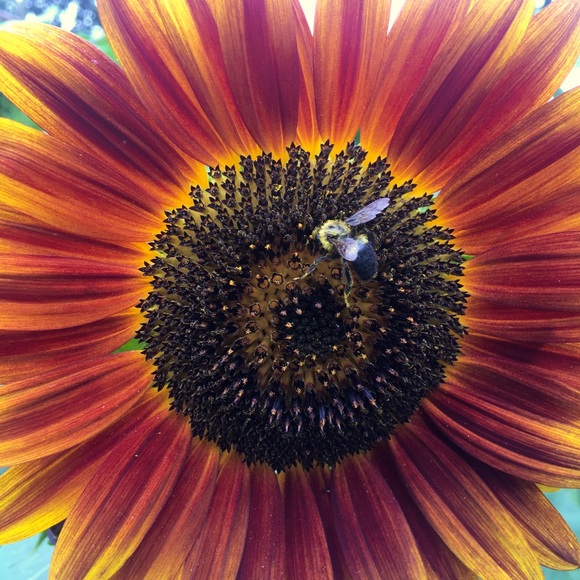 Meet your Posher, Catherine - Picture 6 of 6